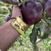 پخش‌ و تولید نهال سیب جرومین|خدمات باغبانی و درختکاری|هشتگرد, شهرک راه آهن|دیوار