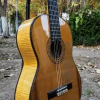 تدریس گیتار و آواز ( منزل هنرجو )