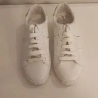 کتونی برند ترک(استرادیوریوس)