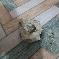 لوازم آکواریوم