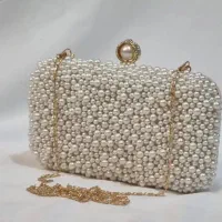 کیف های مجلسی شیک دستی|کیف، کفش، کمربند|سلماس, |دیوار