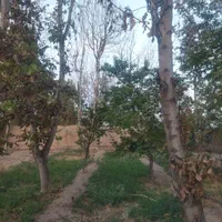 فروش باغ در بافت شهری|فروش خانه و ویلا|اصفهان, بوستان ناژوان|دیوار