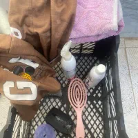 واگذاری سگ|سگ|مشهد, امیریه|دیوار