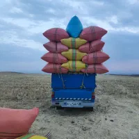 کاه گندم (کاهکوب)