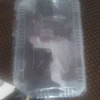 ظرف پلاستیکی