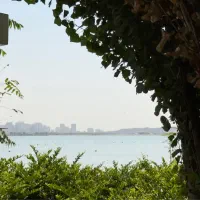 اعلام مفقودی لپ تاپ و سبد سفر در محدوده چیتگر|اشیا|تهران, پارک شهر|دیوار
