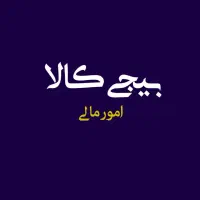 حسابدار دفتر پخش موادغذایی مسلط به هلو