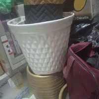 تعدادی گلدان درحد