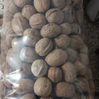 گردو خوش طعم و پرچرب|خوردنی و آشامیدنی|شاهین دژ, |دیوار