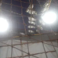 فروش کبوتر|حیوانات مزرعه|آستانه اشرفیه, |دیوار