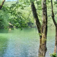 اجاره روزانه ویلا