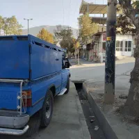 محمدی