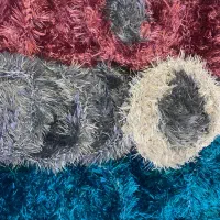 اسکاج طرف شویی