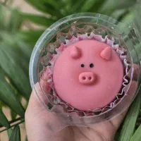 موچی با مواد اصلی خود موچی|خوردنی و آشامیدنی|رشت, شالکو|دیوار