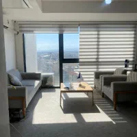 دستیار تولید محتوا- همکاری با تیم حرفه‌ای