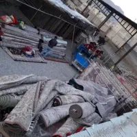 قالی شویی نگین حاجی پور  12 سال سابقه کاری