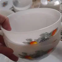 آرکوپال میوه ای