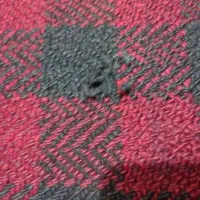 جاجیم|گلیم، جاجیم، گبه|اهواز, اسلام آباد شرقی|دیوار