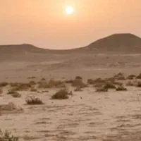 زمین مزروعی