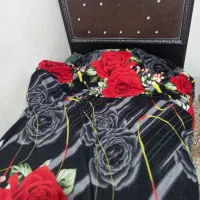 تخت یک نفره