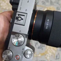 آلفاسون سی سیلور