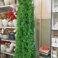 شمشادهای اویزی ۱۷۰ سانتی اک|گل مصنوعی|قم, شهرک فاطمیه|دیوار