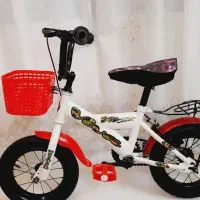 دوعدد دوچرخه ۱۲ در حد