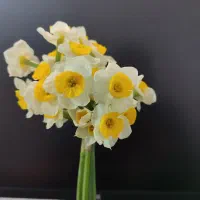 استخدام منشی تلفنی