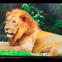 ال ای دی42سامسونگ کیفیت 20|تلویزیون و پروژکتور|یزد, |دیوار