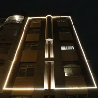 نور پردازی نمای ساختمان بدونه نیاز به داربست|خدمات پیشه و مهارت|اصفهان, باغ دریاچه|دیوار