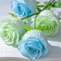نیروی کار در آشپزخانه