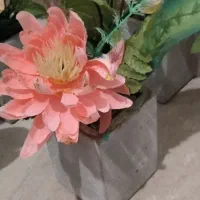 مینی گلدان‌ها برای تزیین|گل مصنوعی|ارومیه, |دیوار