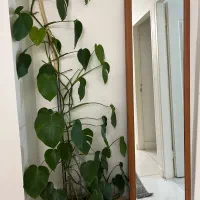 آینه قدی