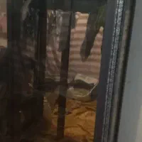 ویترین بزرگ و عالی