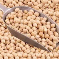 نخود کرمانشاه