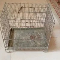 قفس مرغ عشق و فنج