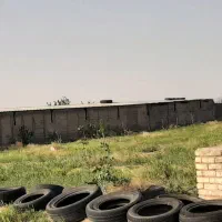 ۷۰۰۰هزارمتر زمین دارای نهال پسته پیوندی وبار دار|فروش دفتر صنعتی، کشاورزی، تجاری|تربت جام, میان جام|دیوار