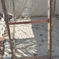 قفس بزرگ مناسب مرغ و کبوتر|لوازم جانبی حیوانات|شوشتر, |دیوار