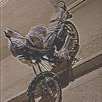 موتورسکه‌درحدصفر