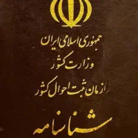 گمشده به نام خانم بامری