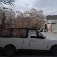 پوشال کولر آبی عمده خاش