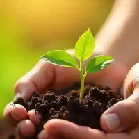 کودهای ارگانیک سبو‌سیب سلامت