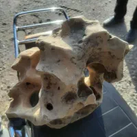 سنگ طبیعی مخصوص کلکسیون و اکواریوم