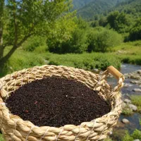 چای درجه یک بهاره لاهیجان