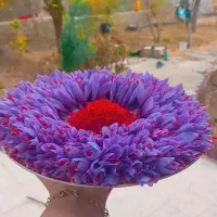 زعفران تربت خراسان|خوردنی و آشامیدنی|اهواز, فدک|دیوار