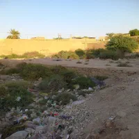 زمین فروش فوری زرگان|فروش زمین و ملک کلنگی|اهواز, فدک|دیوار