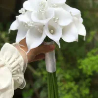 گل لاله عروس