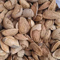 بادام وکشمش