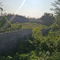 ۲۹۰متر دور محصور شده بادپروانه ساخت در ندامان|فروش زمین و ملک کلنگی|گوراب زرمیخ, |دیوار