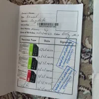 گربه|گربه|اصفهان, دانشگاه اصفهان|دیوار